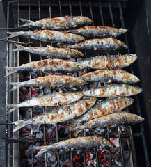 Grilled sardines on the grill, traditional flavors, healthy food.