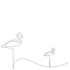 Flamingo birds line drawing on white background vector illustration 