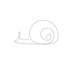 snail on white background  vector illustration 