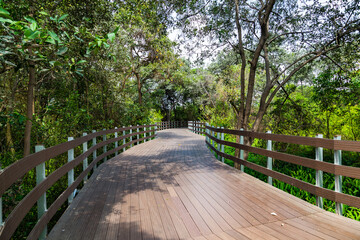Elevated wooden path