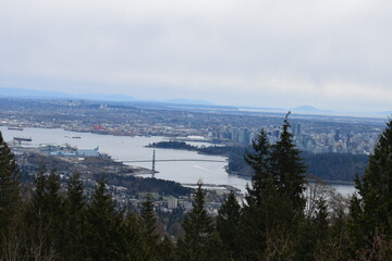 view of the city from above