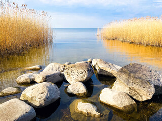 Obraz na płótnie Canvas Landscape. View of the water surface with a rocky shore and yellow reeds. Lake.