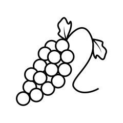 Grape fruit line icon