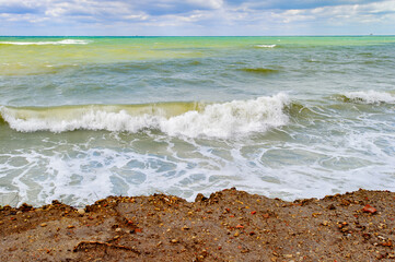 Nature of Chersonesus , archaeological park, Sevastopol, Crimea