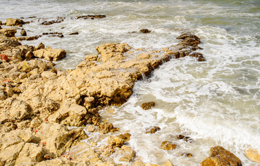 Nature of Chersonesus , archaeological park, Sevastopol, Crimea