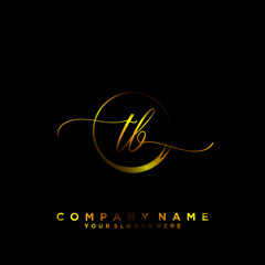 TB Initial handwriting logo vector	
