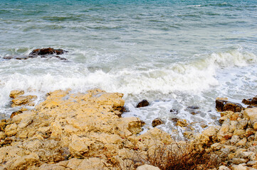 Nature of Chersonesus , archaeological park, Sevastopol, Crimea