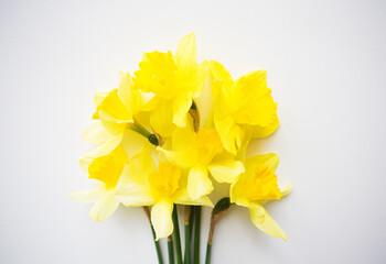 Yellow bouquet of daffodils lying on white table