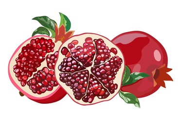 Pomegranate with leaves. Whole fruit and halves. Vector illustration