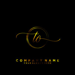 TO Initial handwriting logo vector