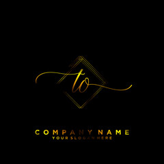 TO Initial handwriting logo vector