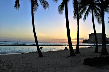 Tropical Beach at sunset , Waikiki, Hawaii