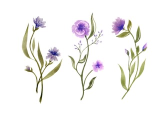 Watercolor flowers set botany