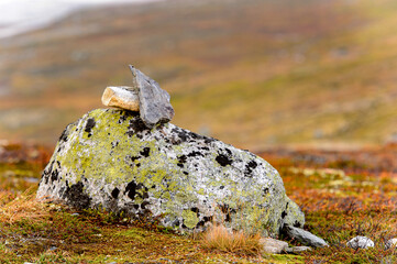 Stones in the Hardangervidda National Park, Norway