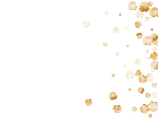 Gold seashells vector, golden pearl bivalved mollusks.