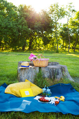 Bright summer picnic