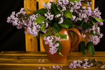 still life with lilac flowers