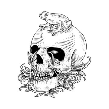 hand drawn skull and frog, can be used for tattoo, t shirt design, poster, banner, background, decoration.