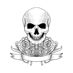 tattoo and t shirt design hand drawn skull and roses vintage engraving style