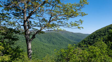 Appalachian Mountain View Along the Blue Ridge Parkway