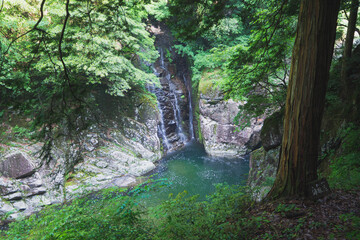 初夏の滝