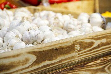 White garlic gloves in a wooden tray in the market