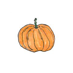 Watercolor pumpkin sketch isolated on white background