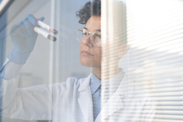 Busy female lab scientist standing at window and working with blood samples in test tubes