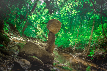 Natures Art 