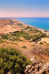 Küstenverlauf mit Strand, Meer, Olivenbaum Plantagen und Klippen