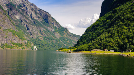 It's Sognefjord, the largest fjord in Norway. It stretches 205 kilometres