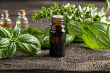 A bottle of essential oil with fresh blooming basil plant