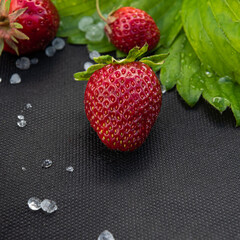 Square image of ripe red strawberries on black