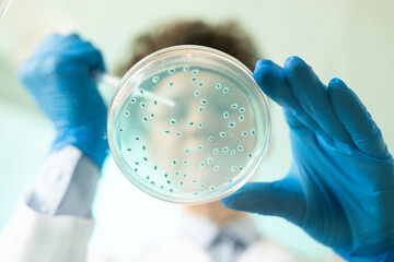 Below view of biologist taking sample of blue textured substance from petri dish while doing...