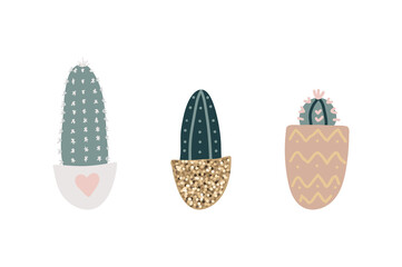 Collection of decorative houseplants isolated on white background. Set of beautiful natural home decorations.