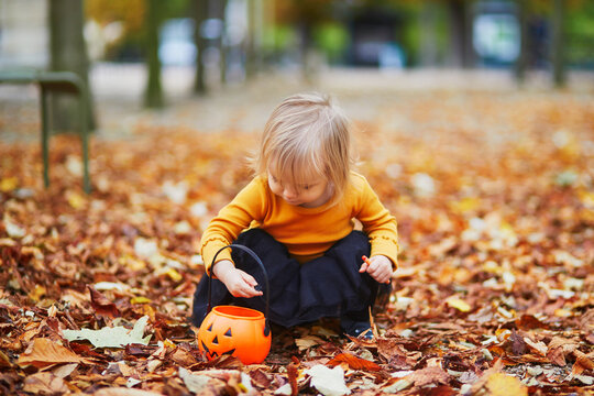 toddler girl playing with colorful pumpkins