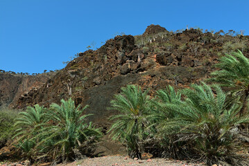  Yemen, Socotra scenery