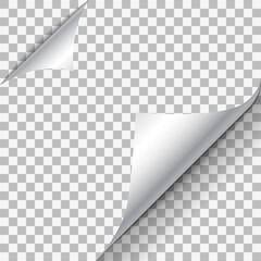 Page curl with shadow on blank sheet of paper. White paper sticker. Element for advertising and promotional message isolated on transparent background. Vector illustration for your design and business