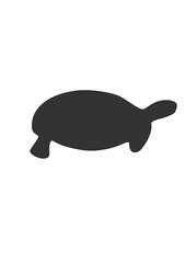 Tortoise svg