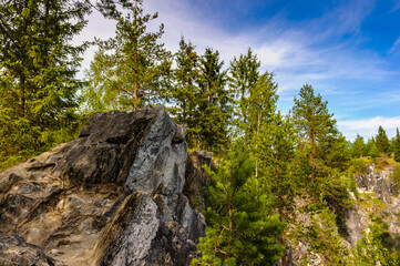 It's River, rock and plants landscape