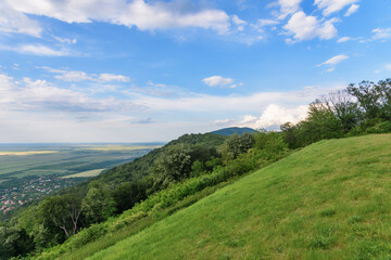 Naklejka premium View from the top of the Vršac hill. Landscape of forest and fields in Vojvodina.