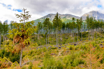 Beautiful nature of the High Tatra Mountains (Vysoke Tatry) a mountain range along the border of Slovakia and Poland