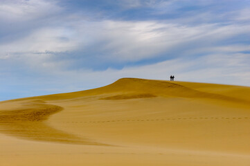 Fototapeta na wymiar Incredible Dune of Pilat (Grande Dune du Pilat), the tallest sand dune in Europe.