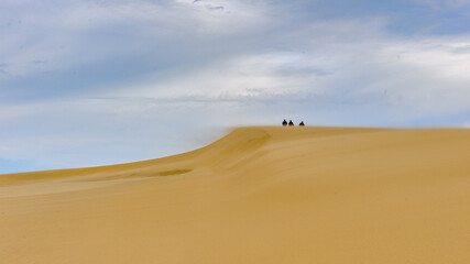 Fototapeta na wymiar Incredible Dune of Pilat (Grande Dune du Pilat), the tallest sand dune in Europe.