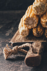 Ripe corn on dark background.