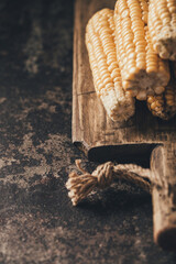 Ripe corn on dark background.