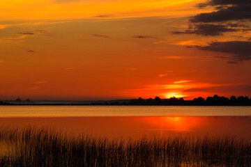 Fototapeta premium Summer lake at dawn, nature background.