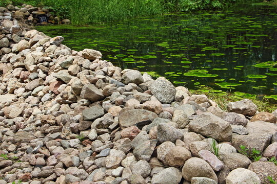 Beautiful Cobblestones Dam Close Up On Forest River Overgrown With Green Water Lily Leaves On A Summer Day