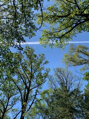 Schöner Ausblick