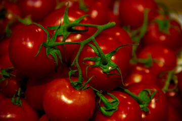 Red shining tomatoes with green stems